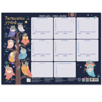 Расписание уроков. Милые совушки. А3