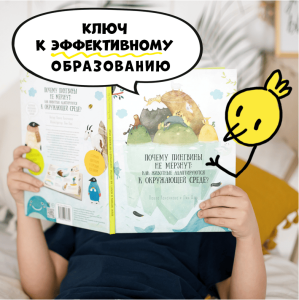 Игровые методы обучения: ключ к успешному образованию детей