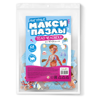 Макси-пазлы в пакете фигурные. Тело человека. 68 деталей. 47х31см.